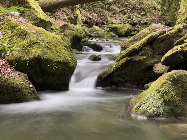 Mullerthal Trail 2