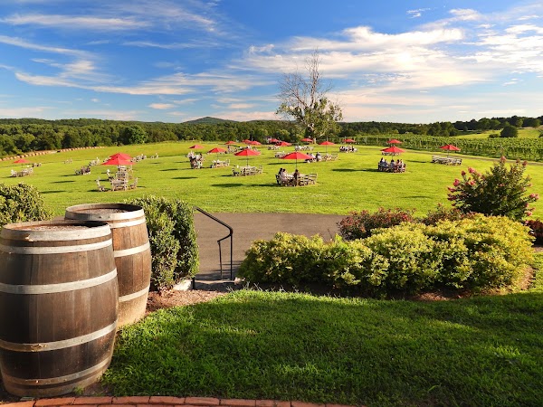 Greenhill Vineyards 4