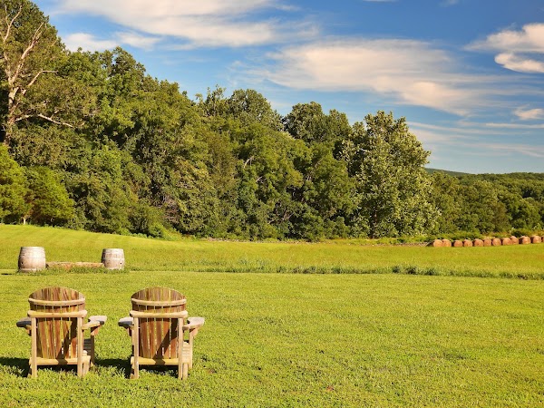 Greenhill Vineyards 3