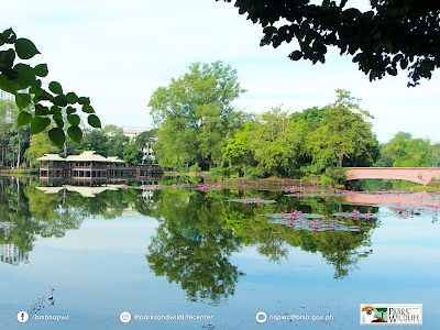 Ninoy Aquino Parks and Wildlife Center 1