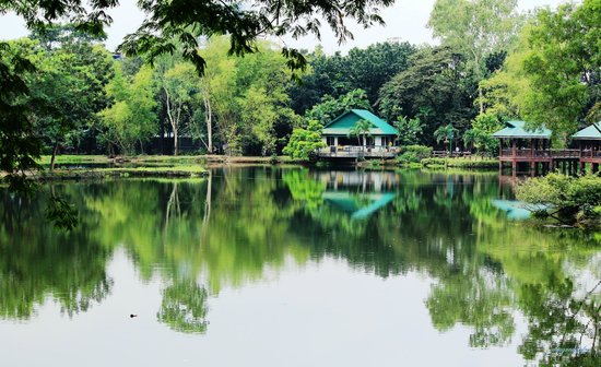 Ninoy Aquino Parks and Wildlife Center 4