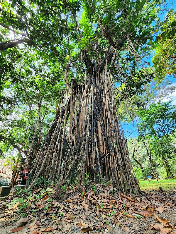 Ninoy Aquino Parks and Wildlife Center 2