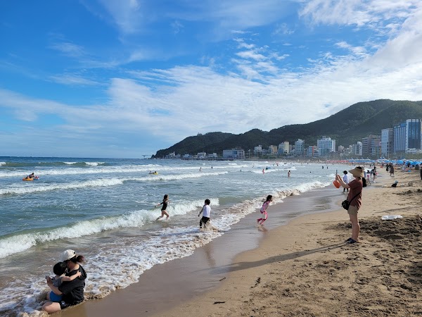 송정해수욕장 5