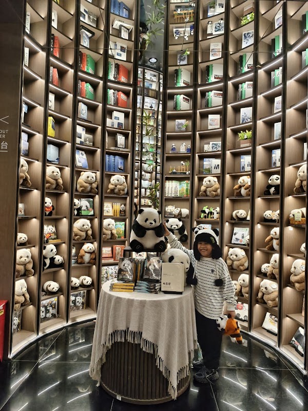 Dujiangyan Library 4