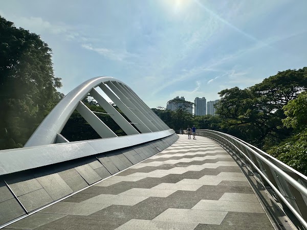 Alexandra Arch Overhead Bridge 1