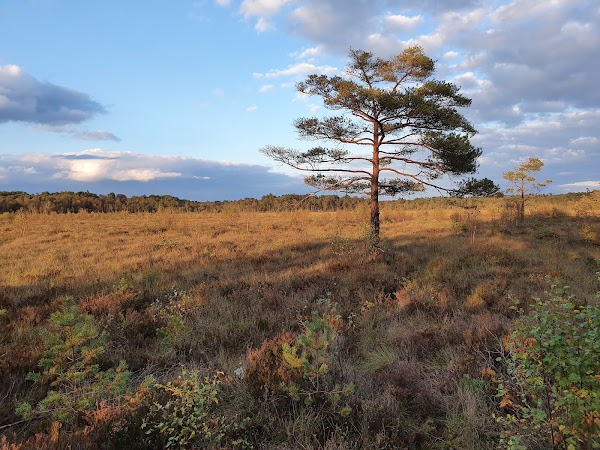 Klåveröds strövområde, parkering Traneröds mosse 1