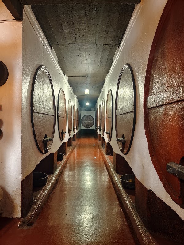 Museo Del Vino. Irache 3