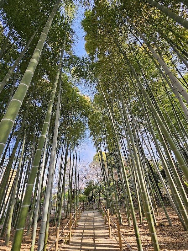 Shukkeien Garden 2