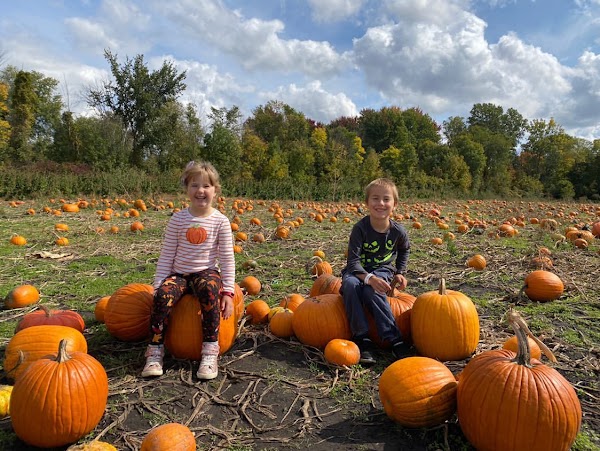 Kustermans Adventure Farm 5