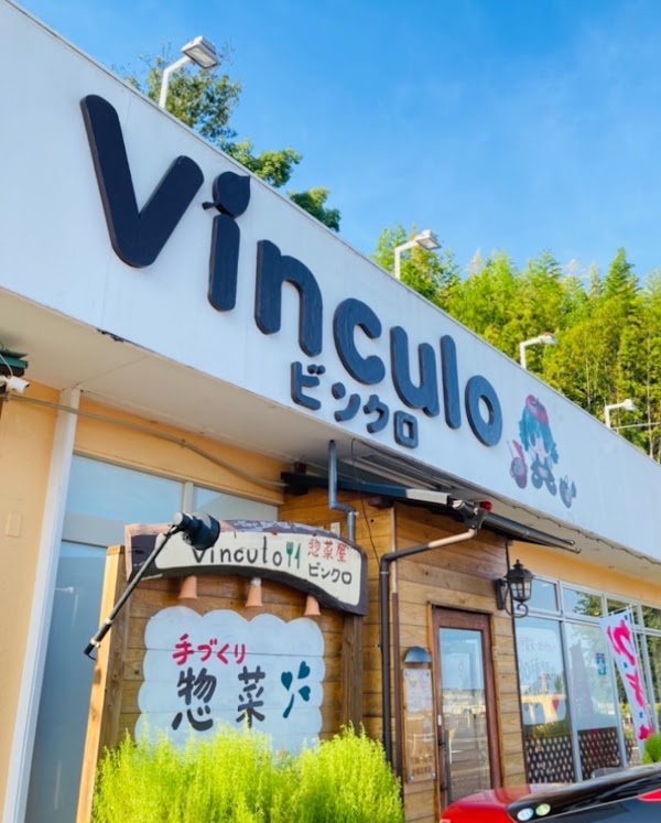 Vinculo 1