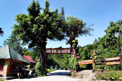 Vietnam 4