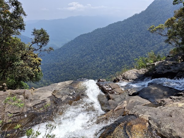 Bạch Mã National Park 5