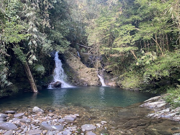 Bạch Mã National Park 4