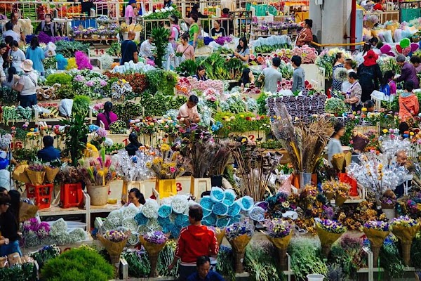 Dounan Flower Market Store