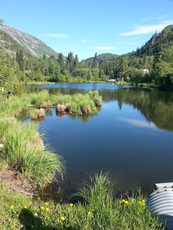 Chitina 2
