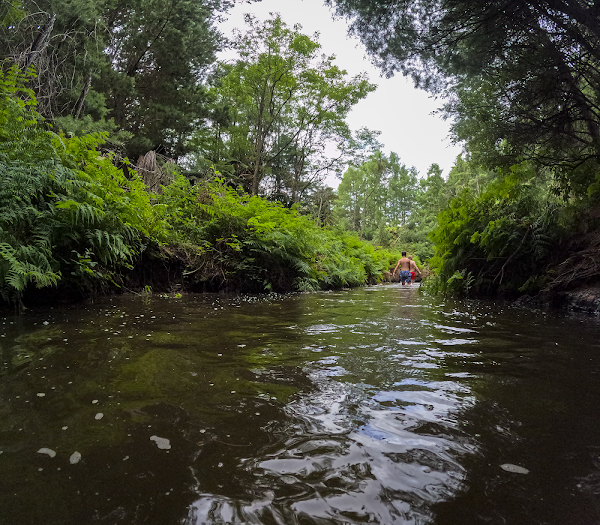 Kerosene Creek 4