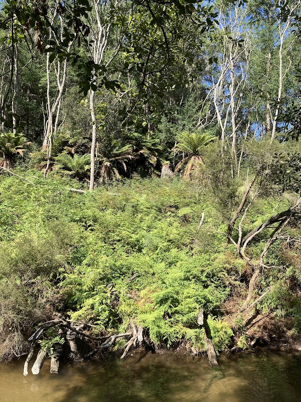 Kerosene Creek 3