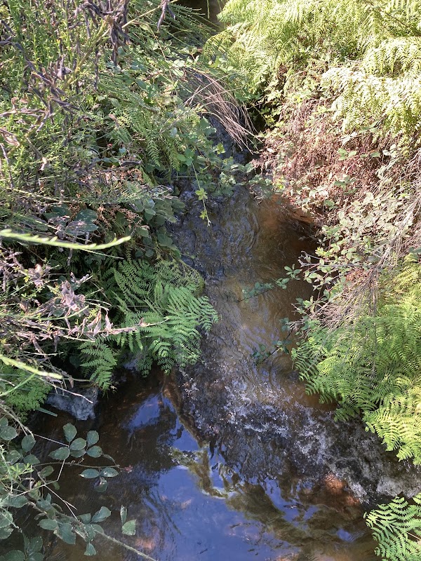 Kerosene Creek 2