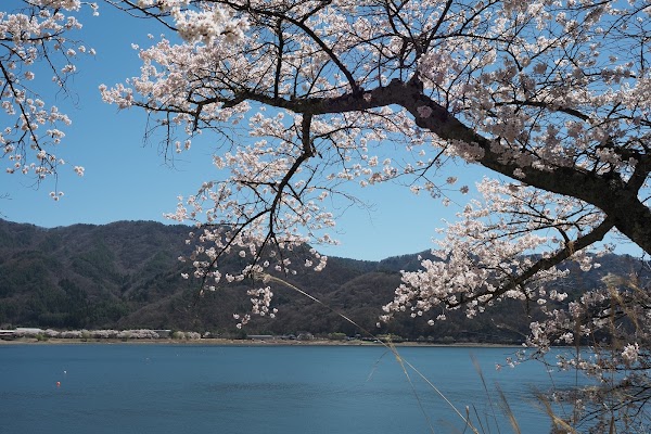 Nagasaki Park 2