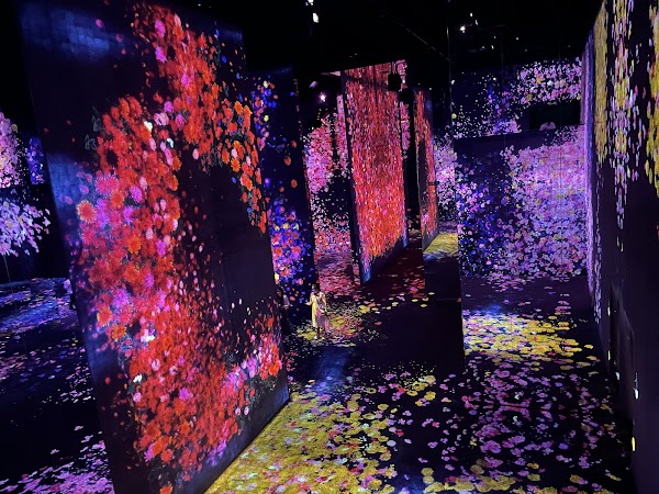 teamLab SuperNature Macao 1