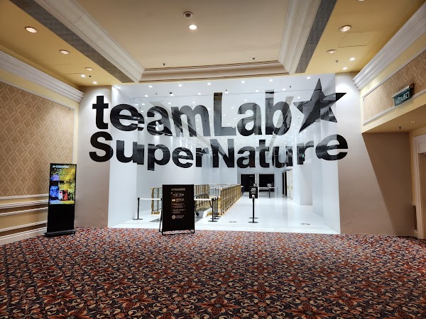teamLab SuperNature Macao 3