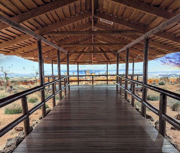 Silver City Mint & Art Centre 1