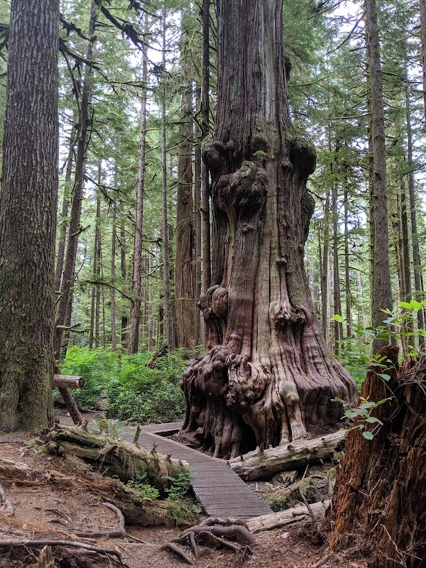 Upper Avatar Grove 1