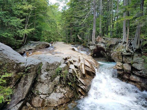 The Basin 5