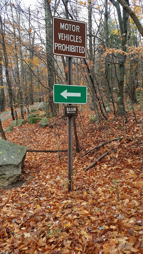 The Basin 2