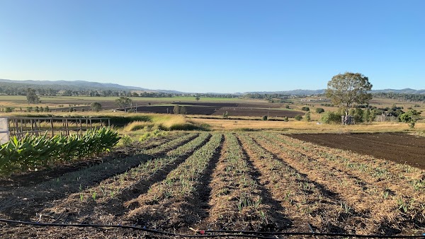 Oaky Creek Farm & Harvest Cafe | Scenic Rim 4