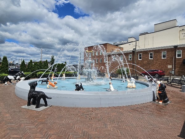 Dog Fountain 1