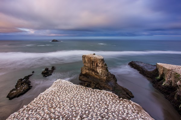 Muriwai Beach Scenic Roadside Lookout 2