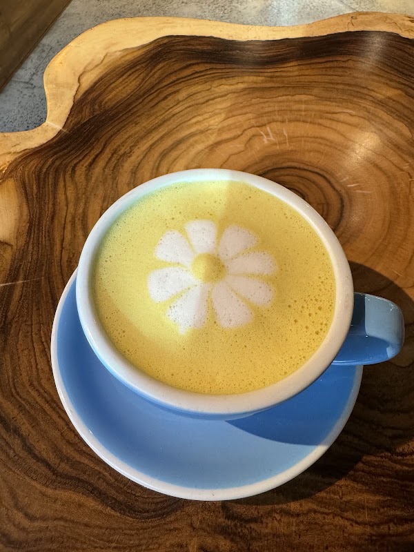 Zoga Yoga Cafe 4