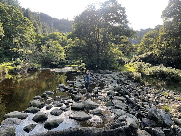 Powerscourt Waterfall 2