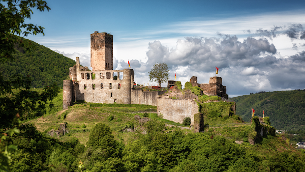 Metternich Castle