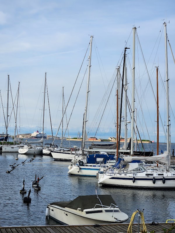 The Little Mermaid 5