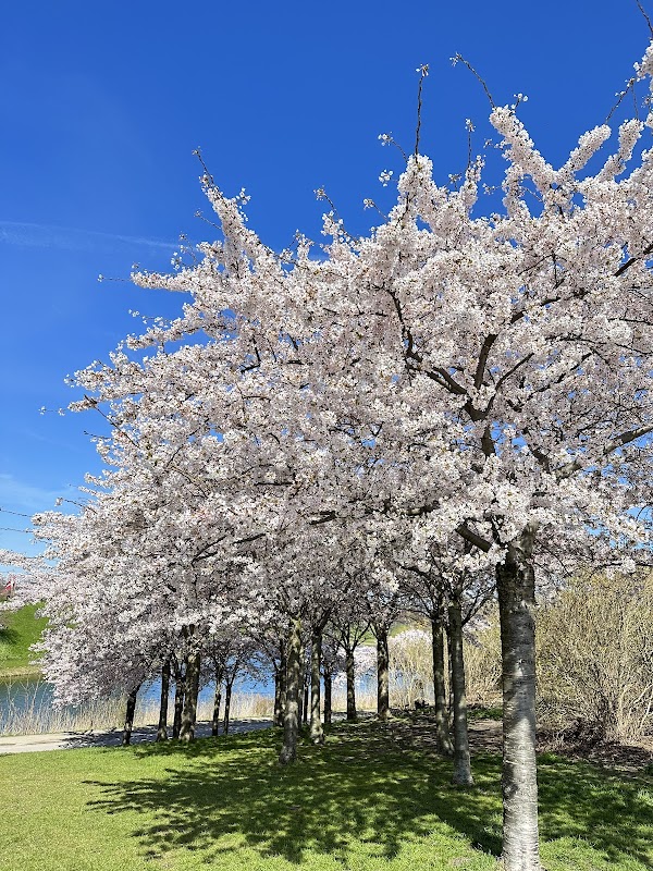 The Little Mermaid 2