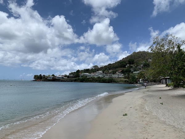 Caribbean 8