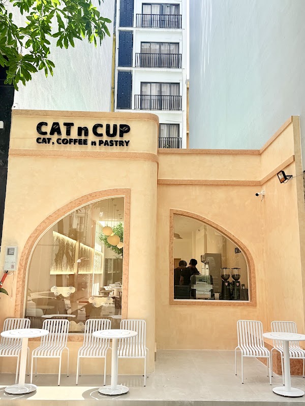 CAT n CUP
