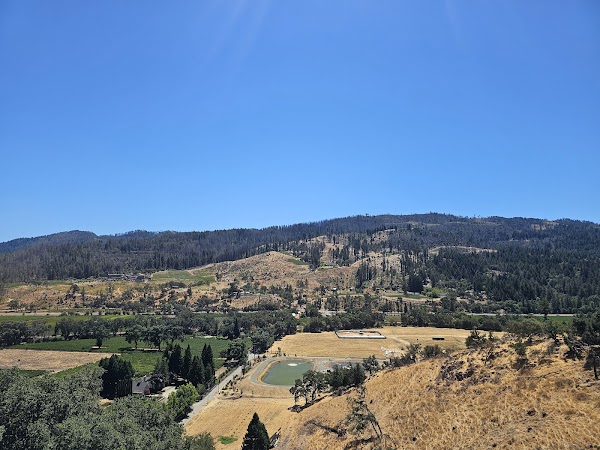 Sterling Vineyards 5