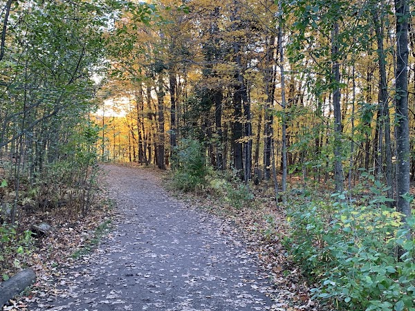 Gatineau Park