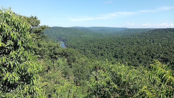 Yabotí Biosphere Reserve