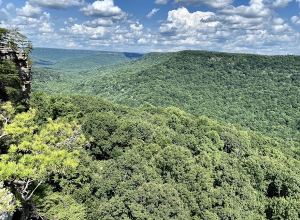 Hikes 41