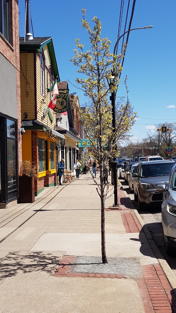 Wolfville 3