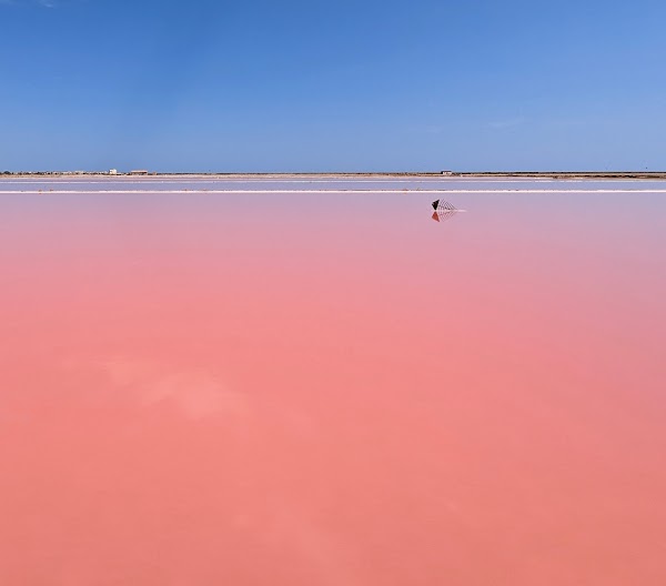 Le Salin de l'île Saint-Martin de Gruissan 5