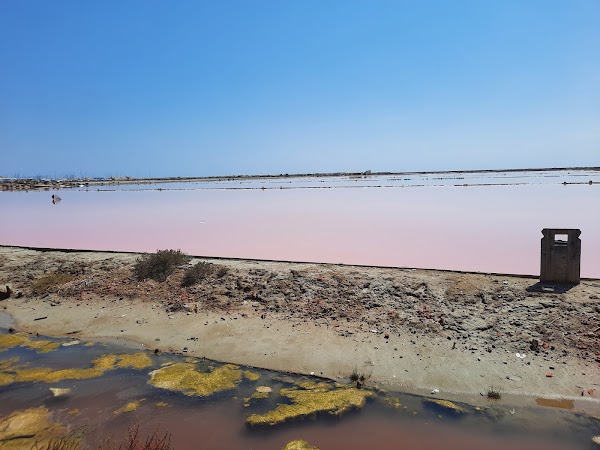 Le Salin de l'île Saint-Martin de Gruissan 4
