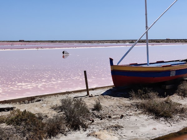 Le Salin de l'île Saint-Martin de Gruissan 3