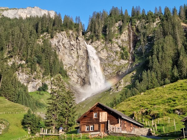 Stäubifall