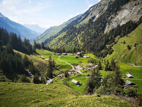 Stäubifall 4