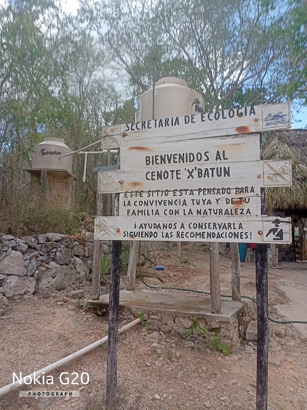 Cenote X'batun 4